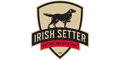 Irish Setter
